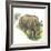 White Rhinoceros Ceratotherium Simum-null-Framed Giclee Print