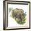 White Rhinoceros Ceratotherium Simum-null-Framed Giclee Print