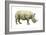 White Rhinoceros (Ceratotherium Simus), Mammals-Encyclopaedia Britannica-Framed Art Print