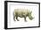 White Rhinoceros (Ceratotherium Simus), Mammals-Encyclopaedia Britannica-Framed Art Print