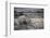 White Rhinoceros, Great Karoo Private Reserve, South Africa-Pete Oxford-Framed Photographic Print