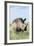 White Rhinoceros, Kenya-Martin Zwick-Framed Photographic Print