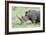 White Rhinoceros, Kenya-Martin Zwick-Framed Photographic Print