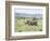 White Rhinoceros, Kenya-Martin Zwick-Framed Photographic Print