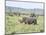 White Rhinoceros, Kenya-Martin Zwick-Mounted Photographic Print