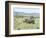 White Rhinoceros, Kenya-Martin Zwick-Framed Photographic Print