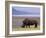 White Rhinoceros, Lake Nakuru National Park, Kenya-Gavriel Jecan-Framed Photographic Print