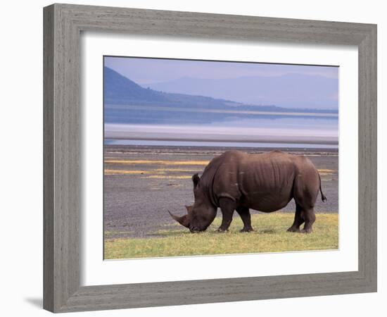 White Rhinoceros, Lake Nakuru National Park, Kenya-Gavriel Jecan-Framed Photographic Print