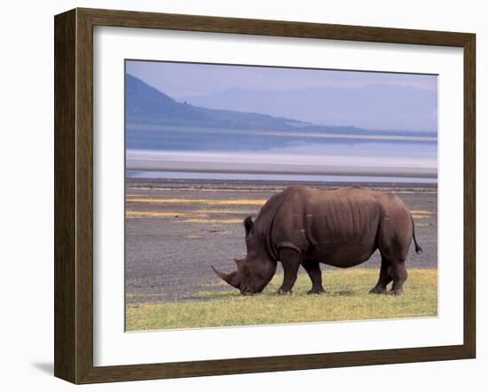 White Rhinoceros, Lake Nakuru National Park, Kenya-Gavriel Jecan-Framed Photographic Print