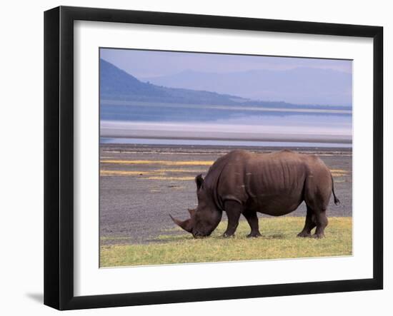 White Rhinoceros, Lake Nakuru National Park, Kenya-Gavriel Jecan-Framed Photographic Print