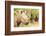 White rhinoceros, Masai Mara, Kenya, East Africa, Africa-Karen Deakin-Framed Photographic Print