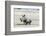 White Rhinoceros Mother with Calf, Kenya-Martin Zwick-Framed Photographic Print