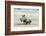 White Rhinoceros Mother with Calf, Kenya-Martin Zwick-Framed Photographic Print