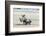 White Rhinoceros Mother with Calf, Kenya-Martin Zwick-Framed Photographic Print