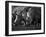 White Rhinoceros or Square-Lipped Rhinoceros Which Is One of the Few Remaining Megafauna Species-Mark Hannaford-Framed Photographic Print