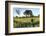 White Rhinoceros, Sabi Sabi Reserve, South Africa-Paul Souders-Framed Photographic Print