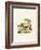 White Rhinoceros-null-Framed Giclee Print