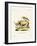 White Rhinoceros-null-Framed Giclee Print