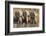 White Rhinos (Ceratotherium Simum) Drinking, Mkhuze Game Reserve, Kwazulu-Natal-Ann & Steve Toon-Framed Photographic Print