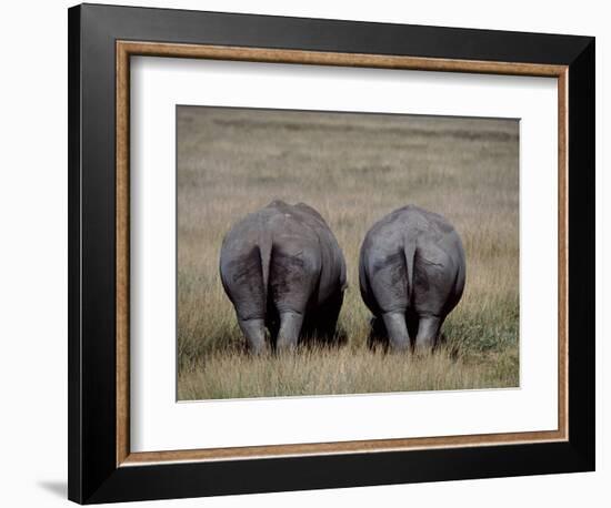 White Rhinos in African Plain, Kenya-Charles Sleicher-Framed Photographic Print