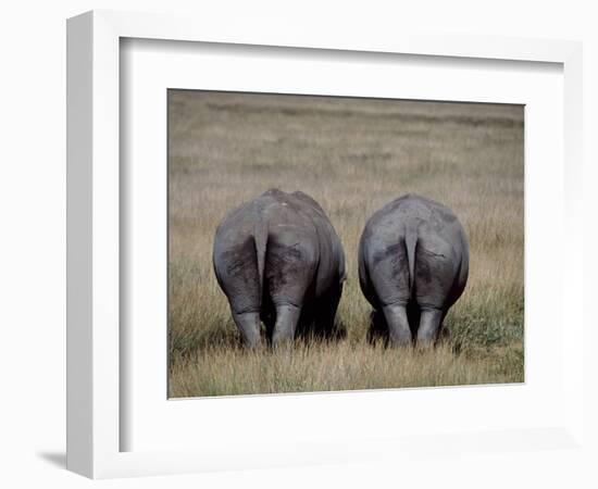 White Rhinos in African Plain, Kenya-Charles Sleicher-Framed Photographic Print