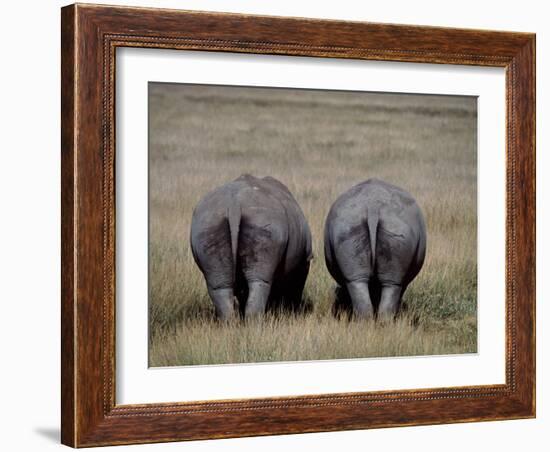 White Rhinos in Lake Nakuru National Park, Kenya-Charles Sleicher-Framed Photographic Print