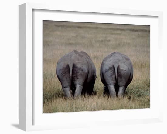 White Rhinos in Lake Nakuru National Park, Kenya-Charles Sleicher-Framed Photographic Print