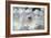 White Rhododendron-George Johnson-Framed Photo