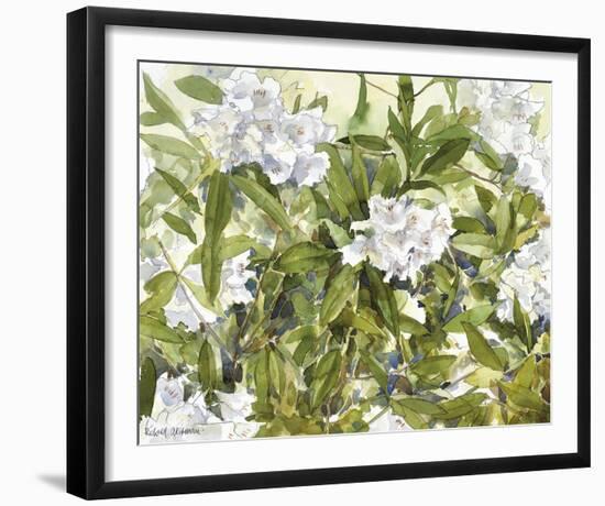 White Rhododendrons-Richard Akerman-Framed Giclee Print