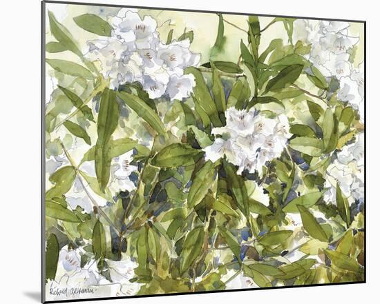 White Rhododendrons-Richard Akerman-Mounted Giclee Print