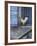 White Rooster on Window Ledge-Joerg Lehmann-Framed Photographic Print