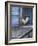 White Rooster on Window Ledge-Joerg Lehmann-Framed Photographic Print