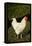 White Rooster-Natalie Tepper-Framed Stretched Canvas