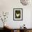 White Rooster-Natalie Tepper-Framed Photo displayed on a wall