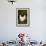 White Rooster-Natalie Tepper-Framed Photo displayed on a wall