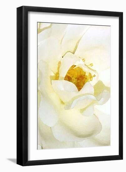 white rose 2-Kenny Primmer-Framed Art Print