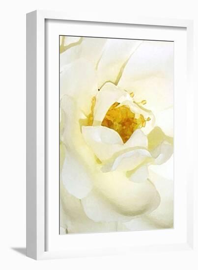 white rose 2-Kenny Primmer-Framed Art Print