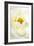 white rose 2-Kenny Primmer-Framed Art Print