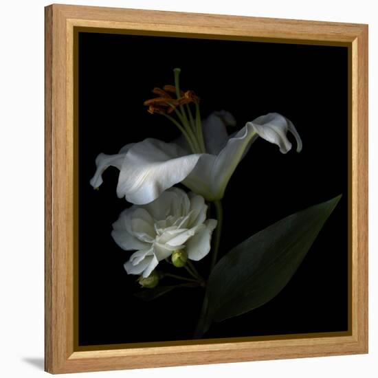 White Rose and White Lily-Magda Indigo-Framed Premier Image Canvas