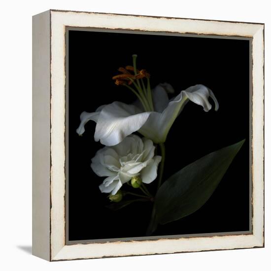 White Rose and White Lily-Magda Indigo-Framed Premier Image Canvas