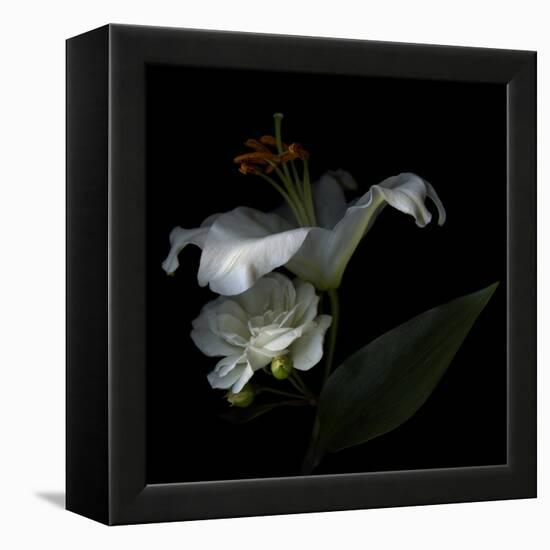 White Rose and White Lily-Magda Indigo-Framed Premier Image Canvas