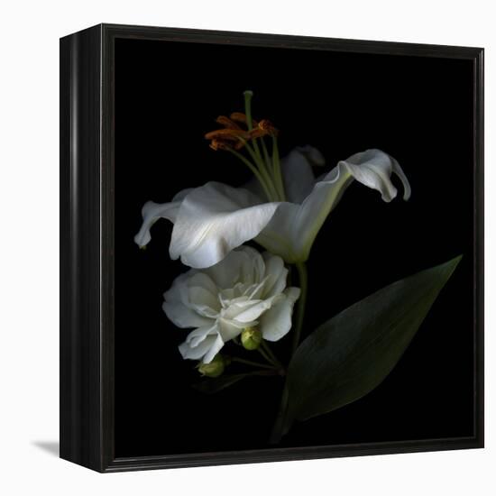 White Rose and White Lily-Magda Indigo-Framed Premier Image Canvas