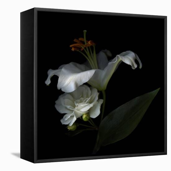 White Rose and White Lily-Magda Indigo-Framed Premier Image Canvas