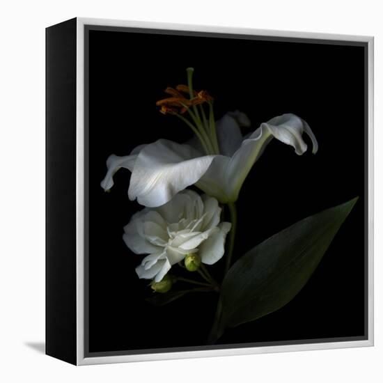 White Rose and White Lily-Magda Indigo-Framed Premier Image Canvas