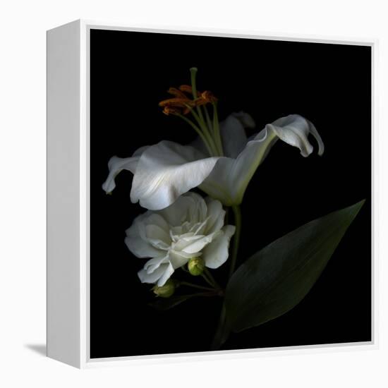 White Rose and White Lily-Magda Indigo-Framed Premier Image Canvas