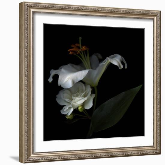 White Rose and White Lily-Magda Indigo-Framed Photographic Print