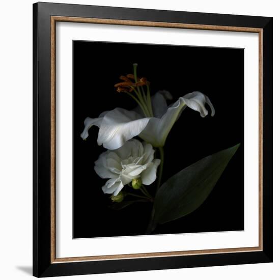 White Rose and White Lily-Magda Indigo-Framed Photographic Print