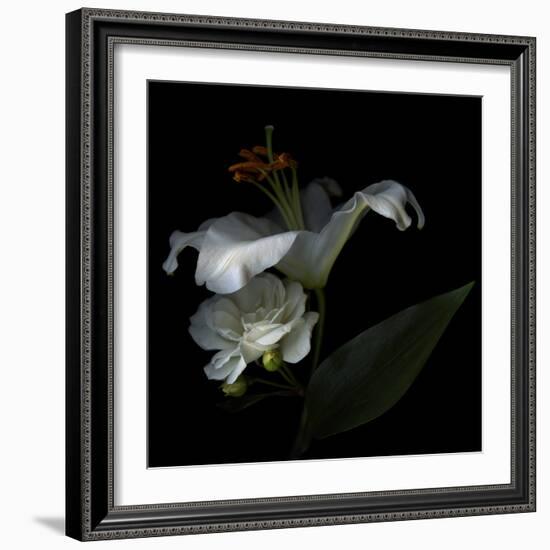 White Rose and White Lily-Magda Indigo-Framed Photographic Print