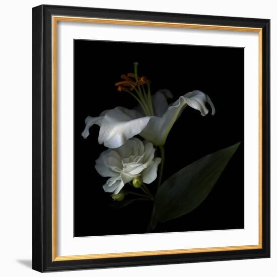 White Rose and White Lily-Magda Indigo-Framed Photographic Print