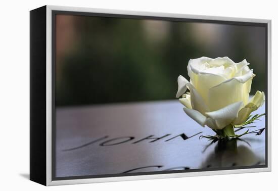 White Rose at September 11 Memorial-null-Framed Stretched Canvas